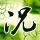 蜘蛛侠1